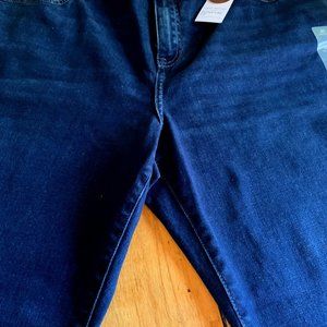 Lane Bryant Signature Fit Straight Denim,20 Petite